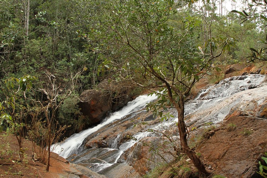Guayabo Falls image