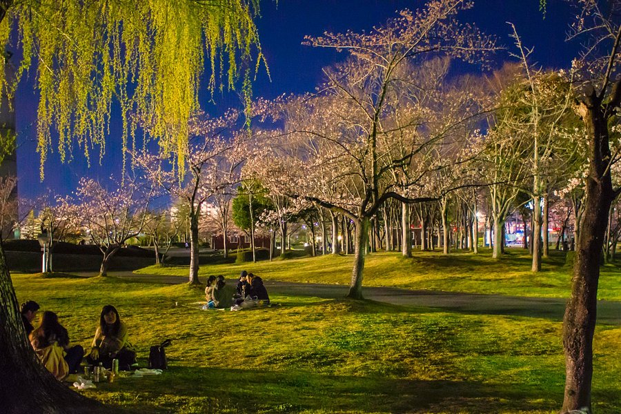 Kaiseiyama Park image