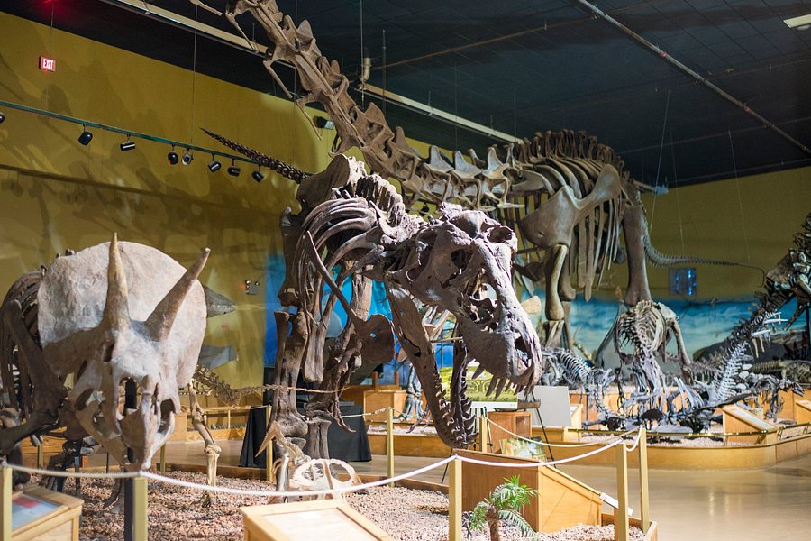 Wyoming Dinosaur Center image