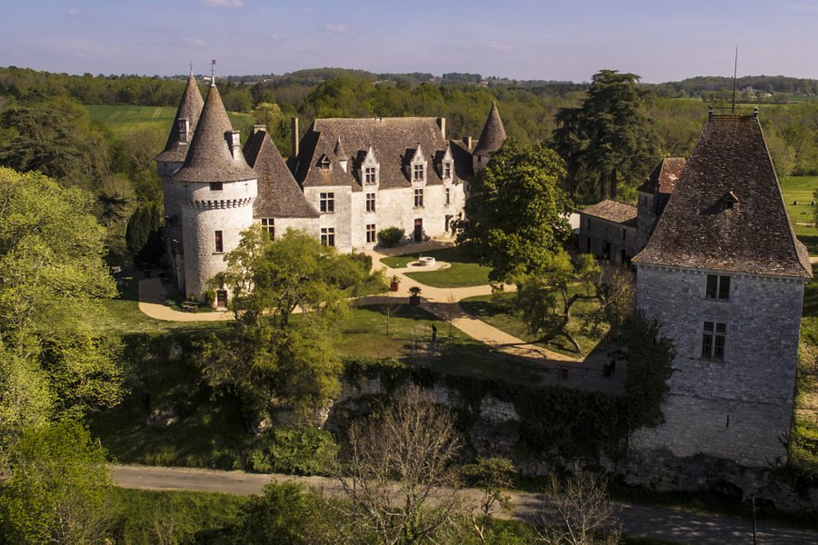 Château de Bridoire image