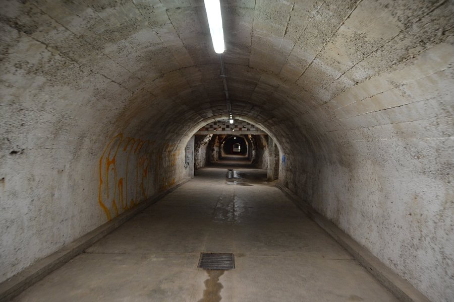 Tunelri image