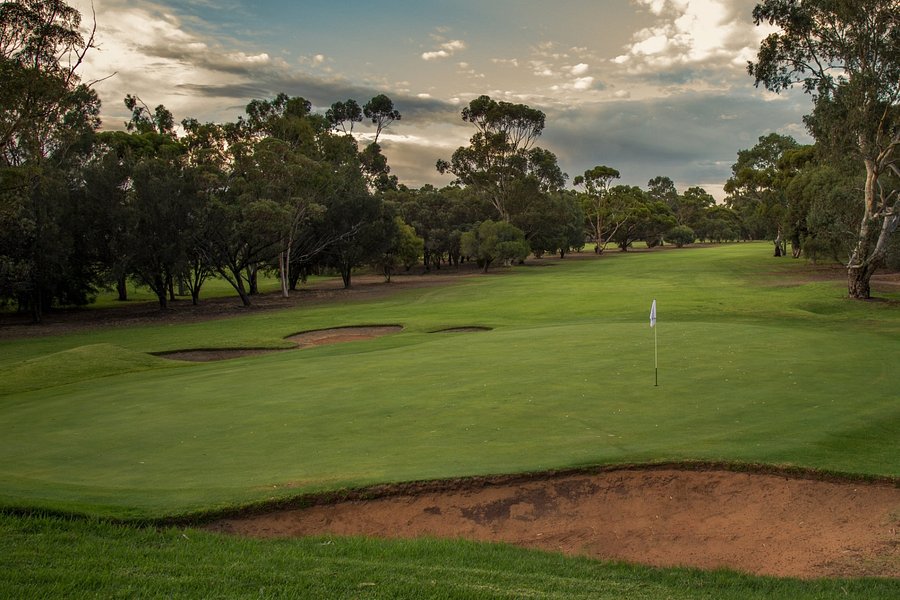 Murray Bridge Golf Club image