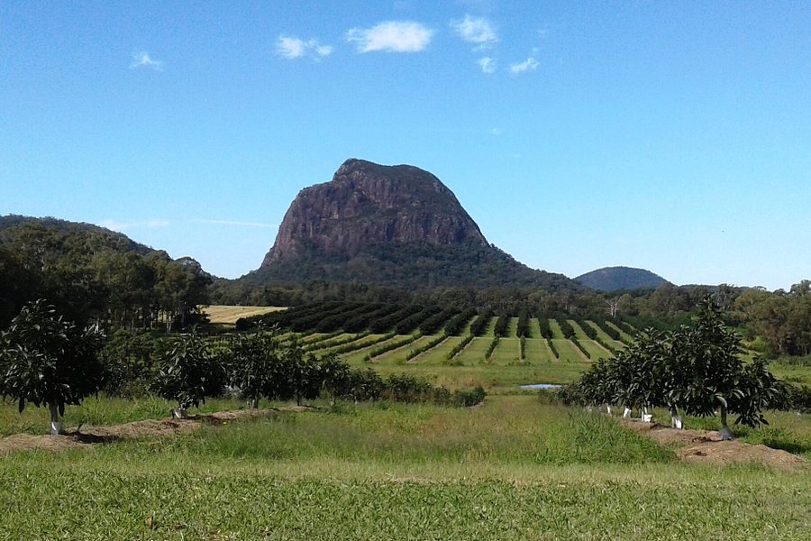 Glass House Mountains National Park image