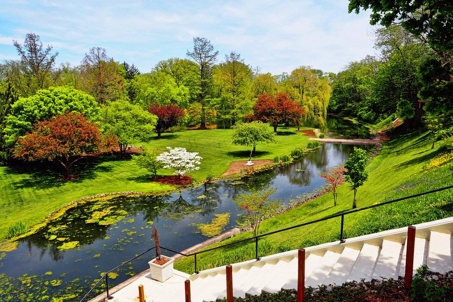 Schedel Gardens and Arboretum image