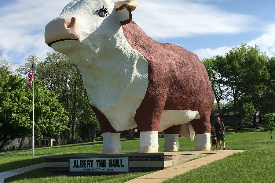 Albert the Bull image