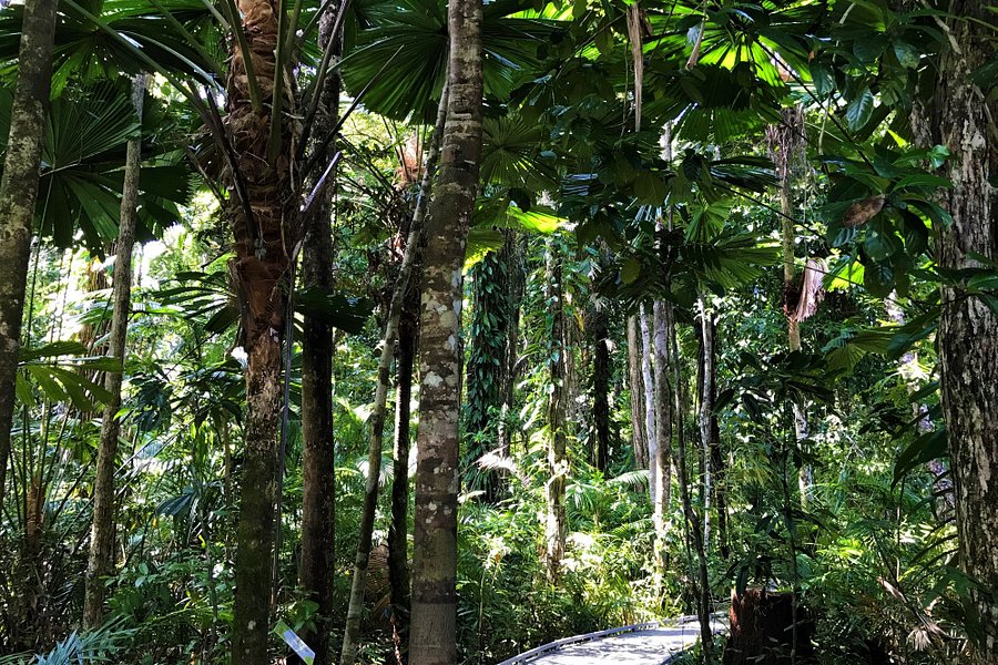 Marrdja Botanical Walk image