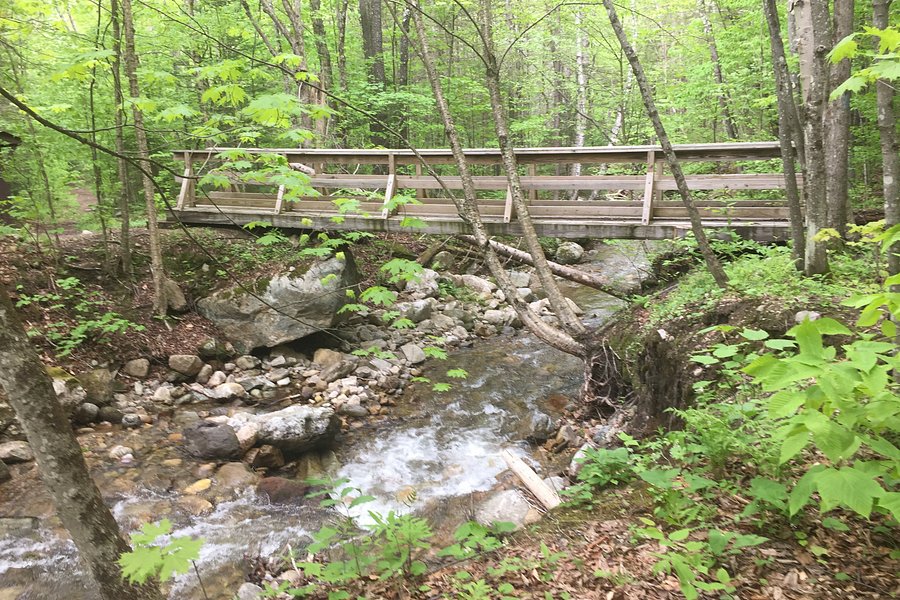 Bucklin Trail image