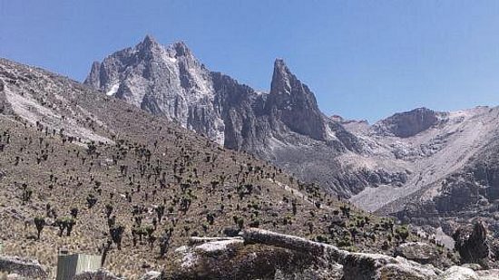Pinnacle Alpine Tours and Treks image