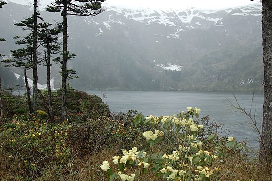 Qilian Lake on Biluo Snow Mountain image