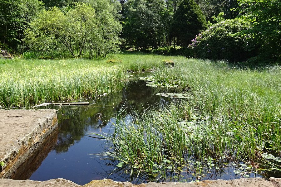 Mugdock Country Park image