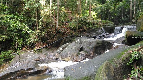 Sungai Tekala Recreation Forest image