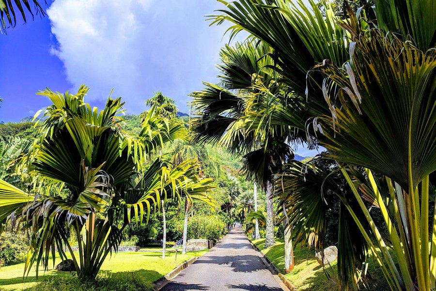 Seychelles National Botanical Gardens image