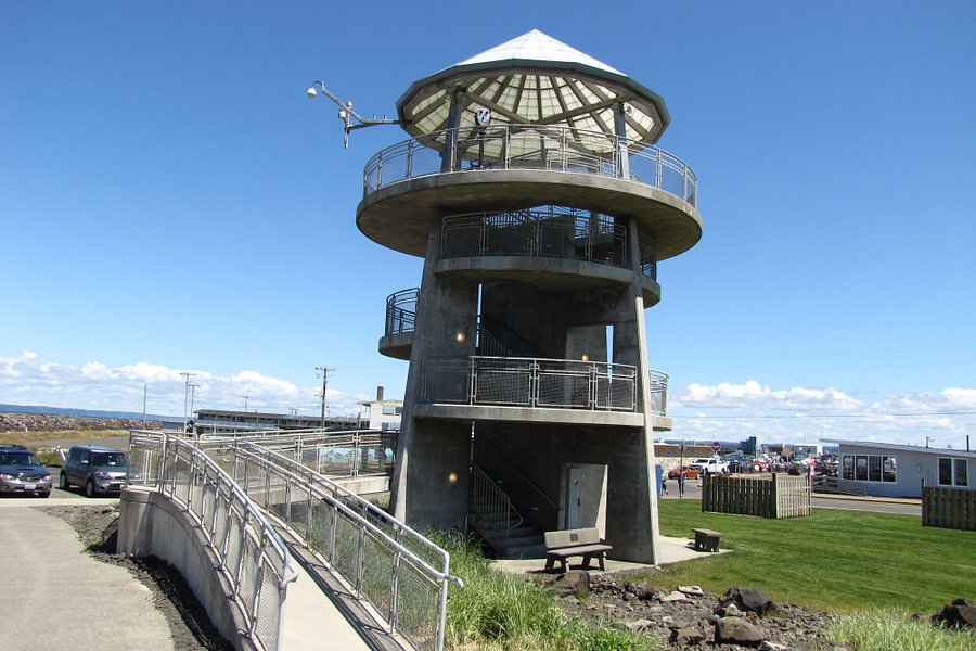 Westport Viewing Tower image