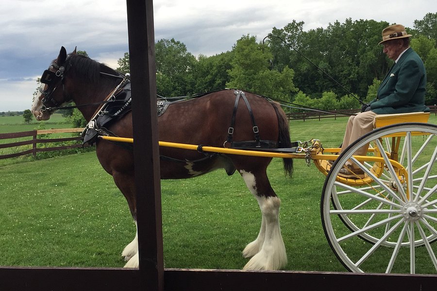 Larson's Famous Clydesdales image