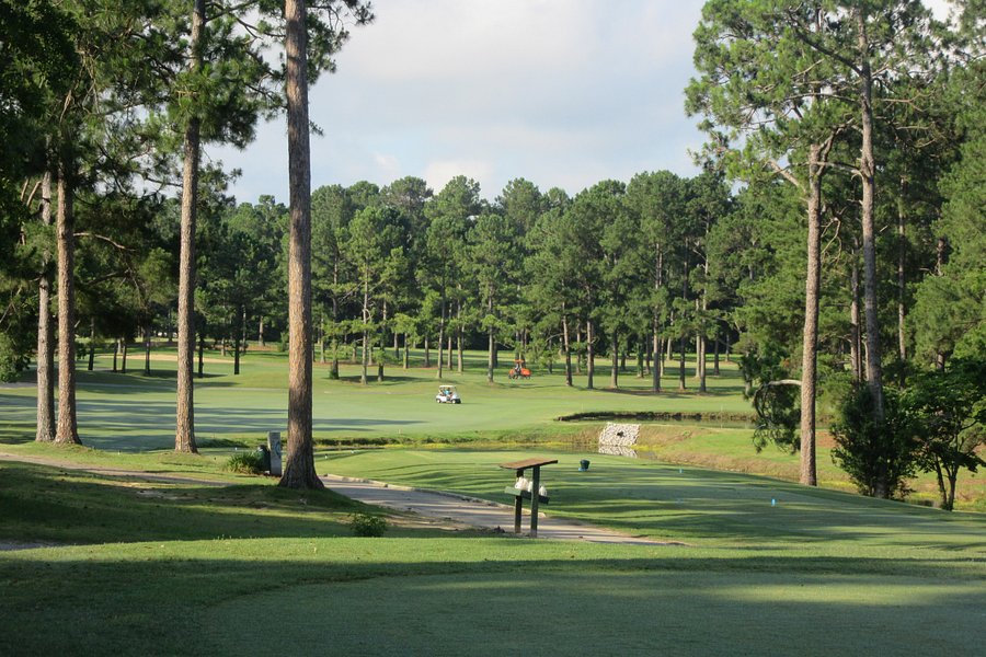 Lake Marion Golf Course image