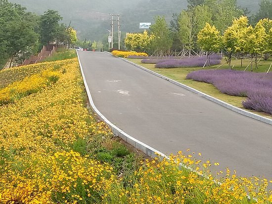 Binhai Road image