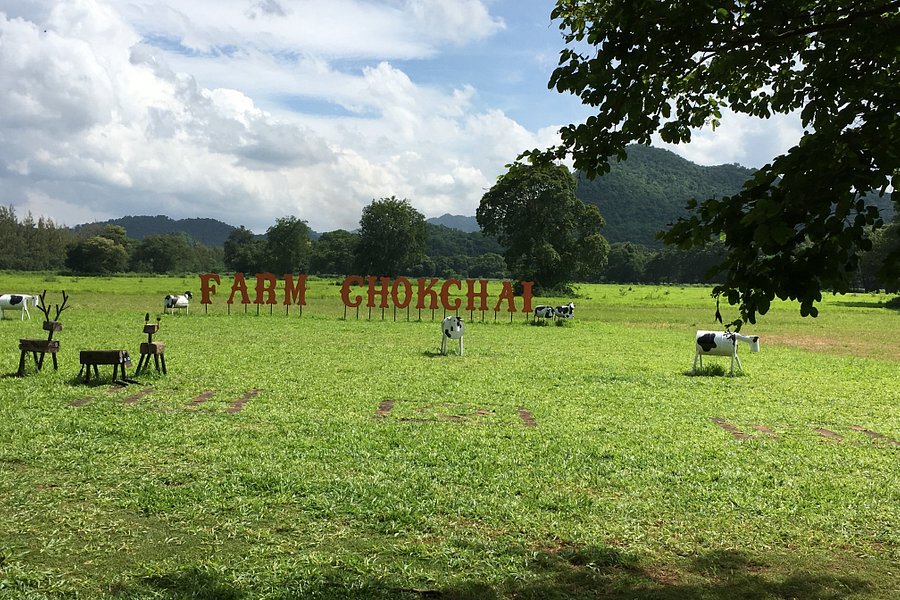 Farm Chokchai image