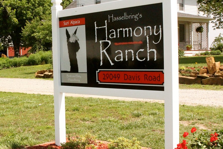 Hasselbring's Harmony Alpaca Ranch image