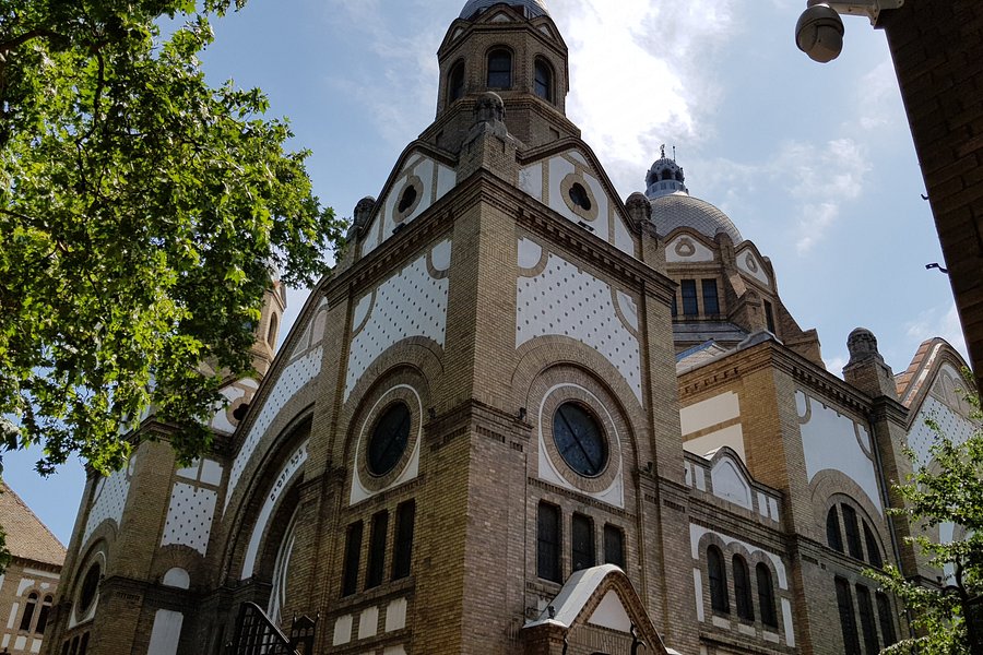 Novi Sad Synagogue image