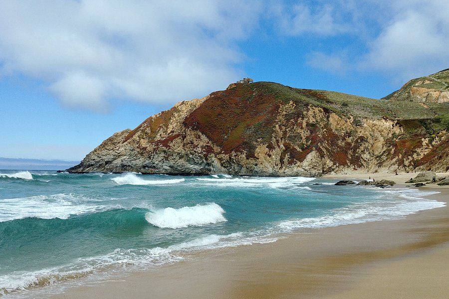 Gray Whale Cove State Beach image