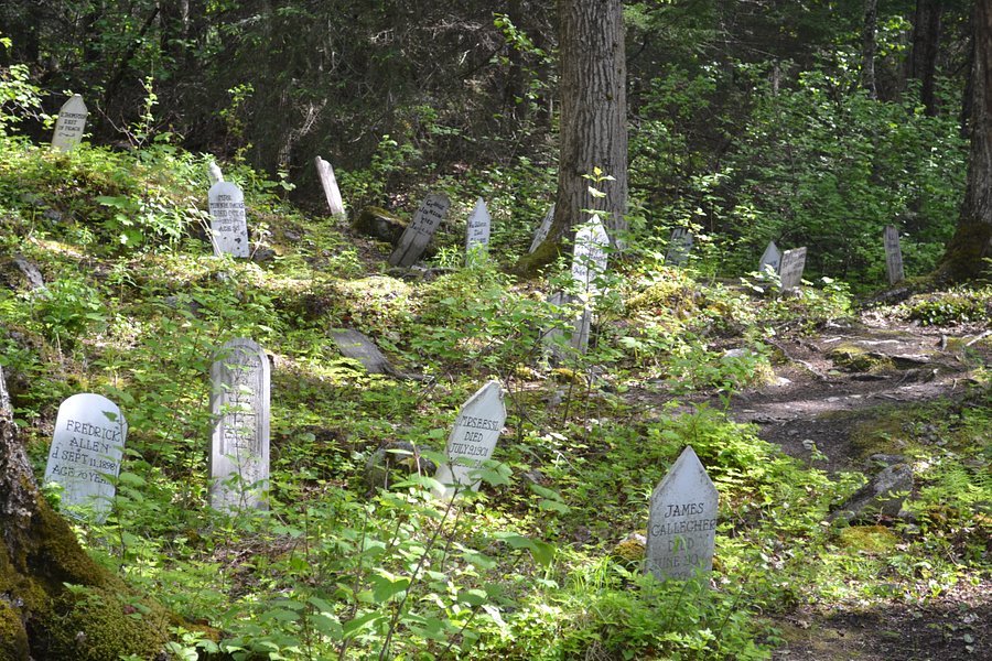 Gold Rush Cemetery image