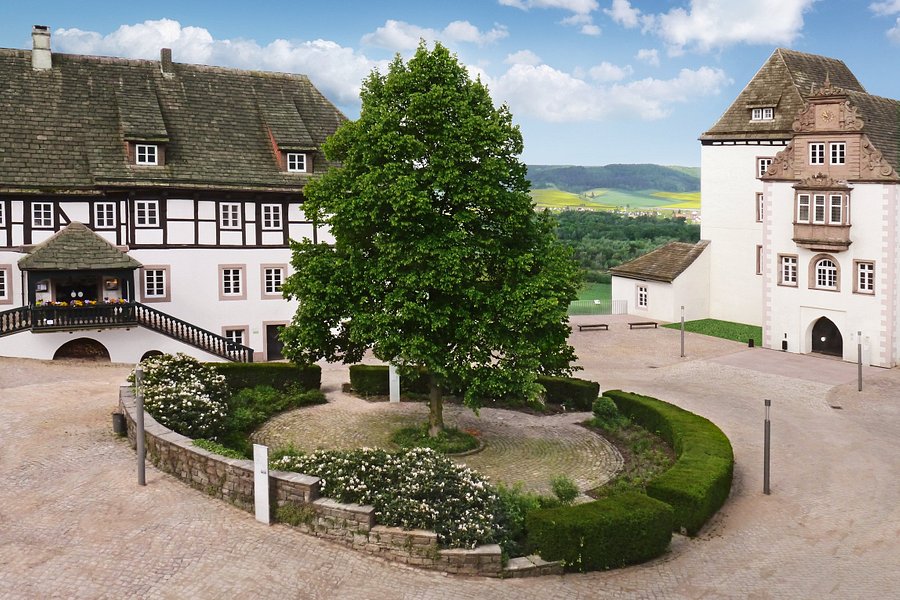 Museum Schloss Furstenberg image