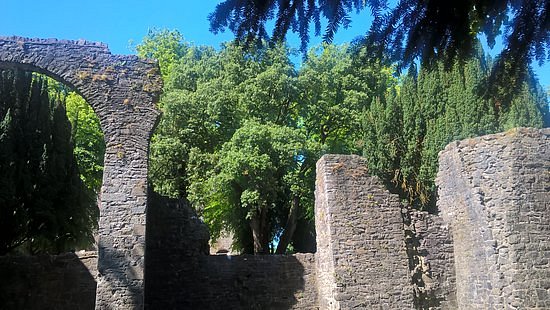Maynooth Castle image