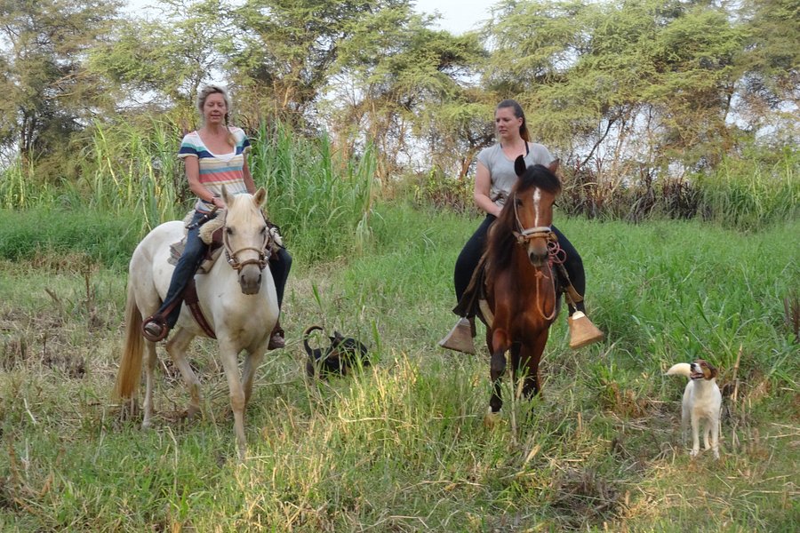 Rancho Santana horseback riding Peru image
