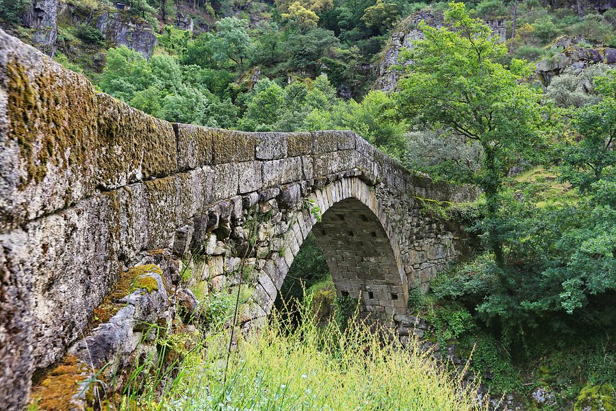 Mizarela Bridge image