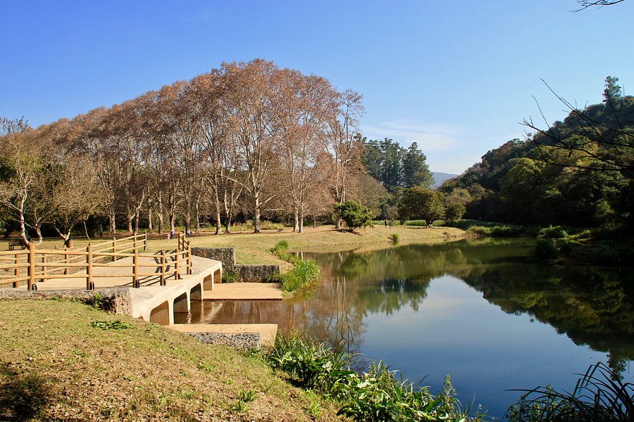 KwaZulu-Natal National Botanical Garden image