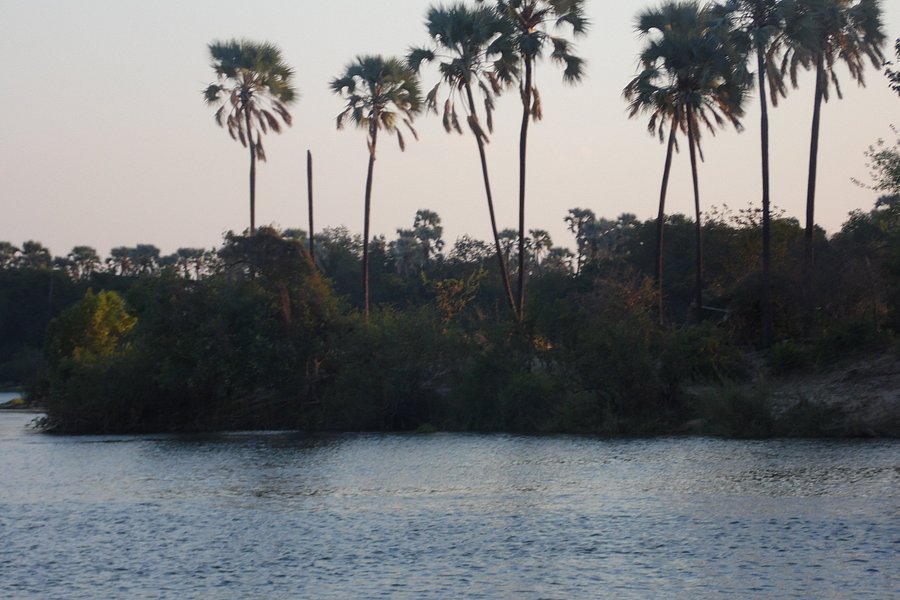 Zambezi River image