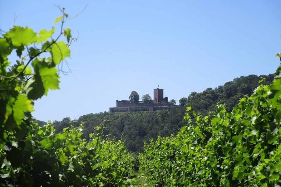 Burg Landeck image