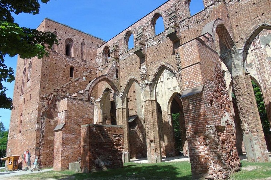 Tartu Cathedral image