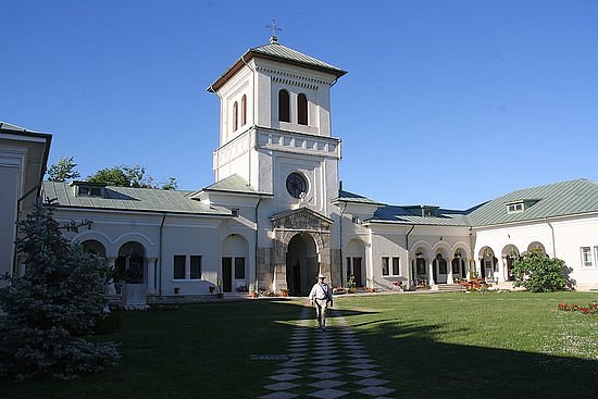 Mânăstirea Dealu image