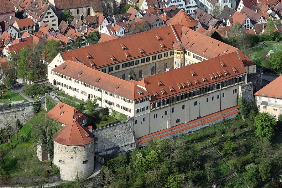 Museum Schloss Hohentuebingen (Museum Ancient Cultures) image