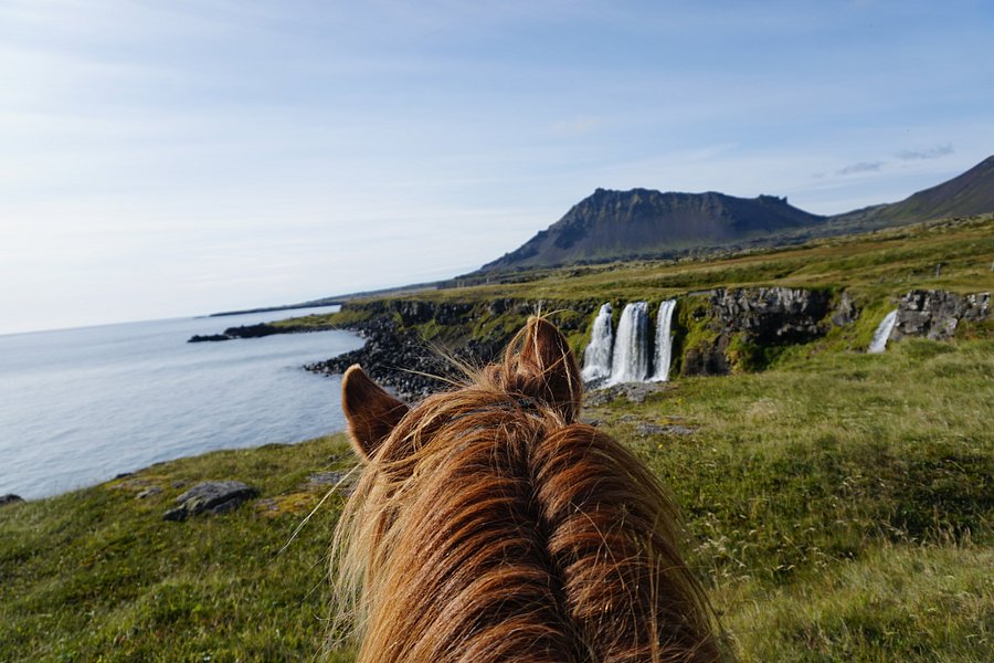 Gröf Horseback Riding Iceland & The Holy Ram Lodge image