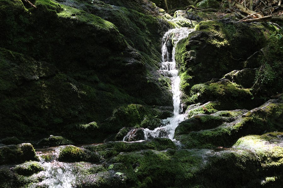 Buttermilk Falls image