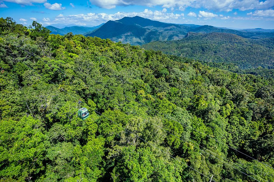 Skyrail Rainforest Cableway image