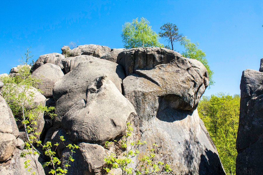 Dovbush Rocks image