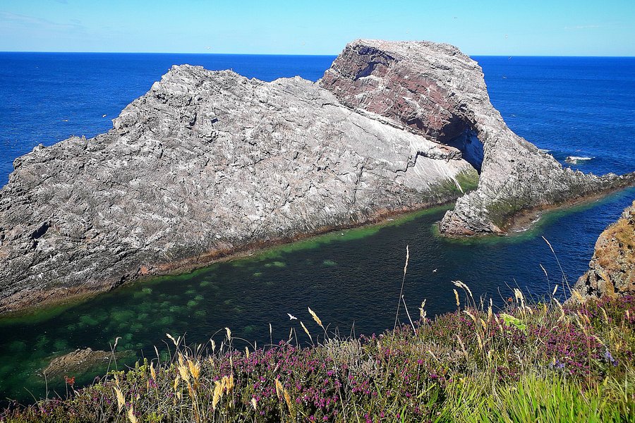 Bow Fiddle Rock image