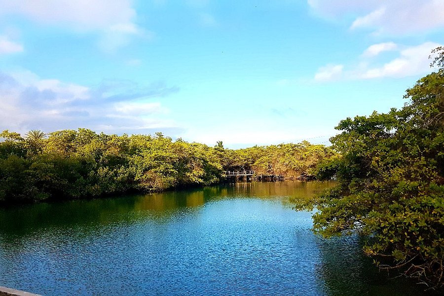 Laguna las Ninfas image