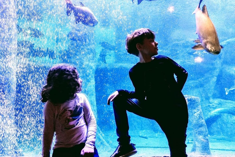 Sao Paulo Aquarium image