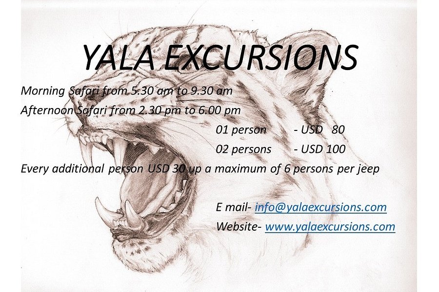 Yala Excursions image
