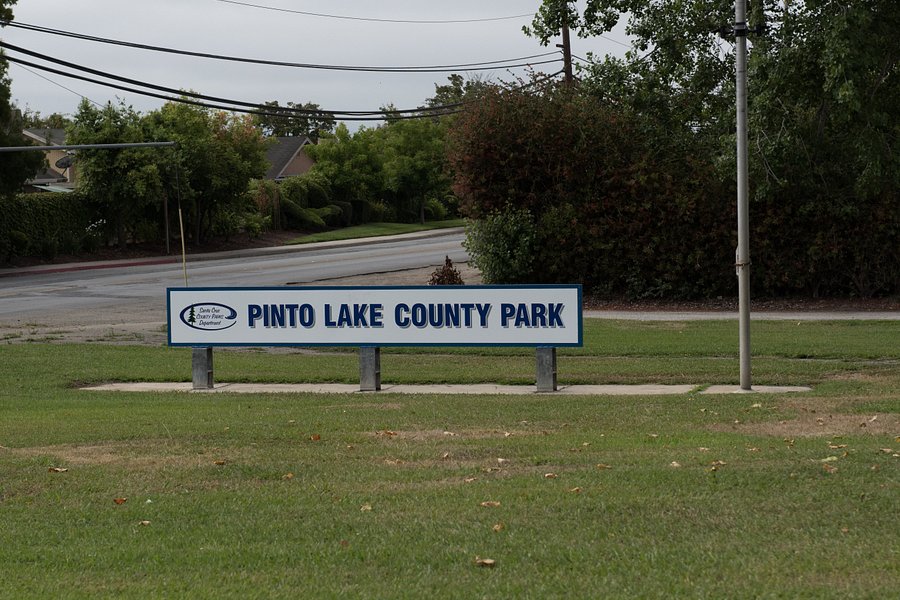 Pinto Lake County Park image
