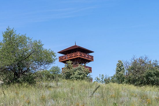 Ortorony Lookout Tower image