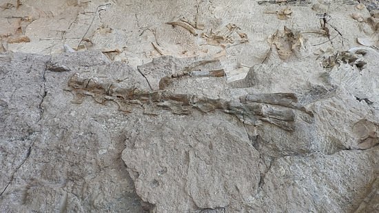 Dinosaur Quarry image