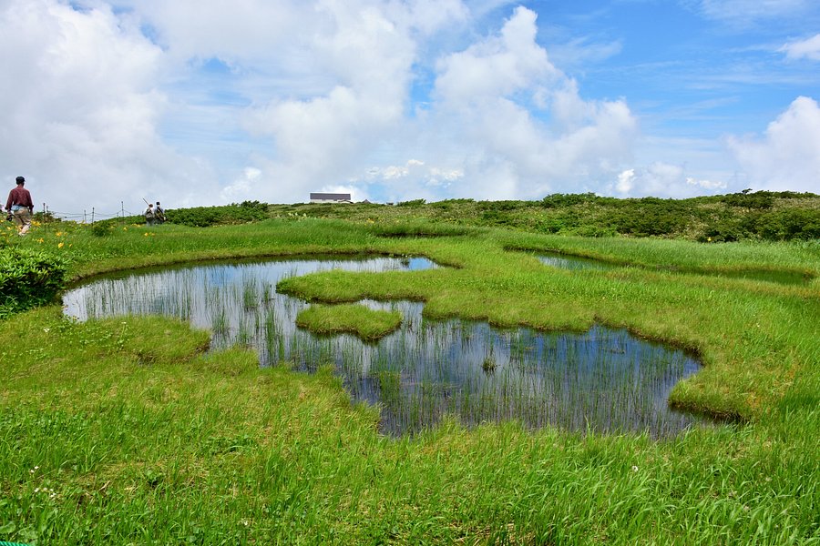 Midagahara Wetlands image