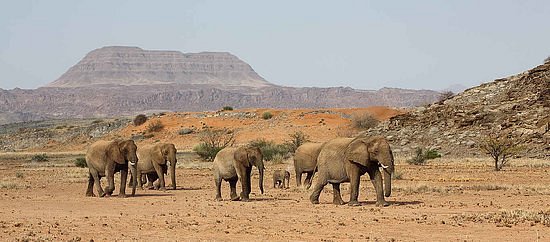 Namibia Holidays Tours & Safaris image