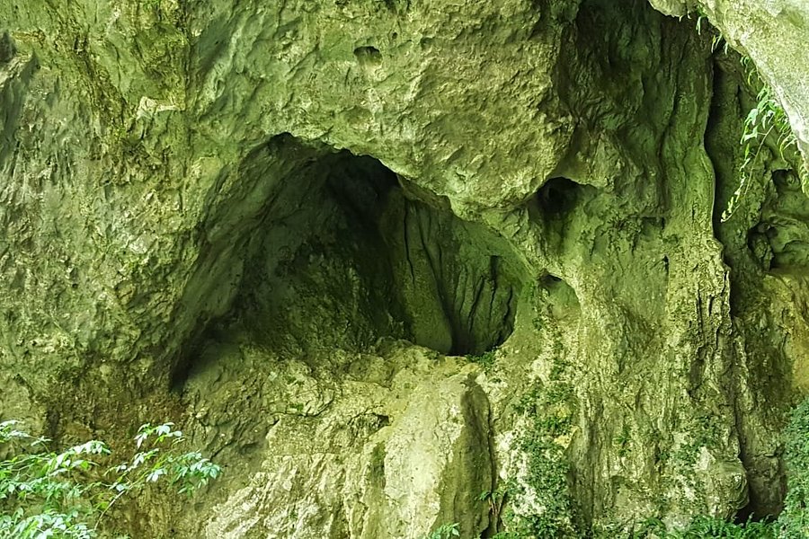 Skocjan Caves Park image