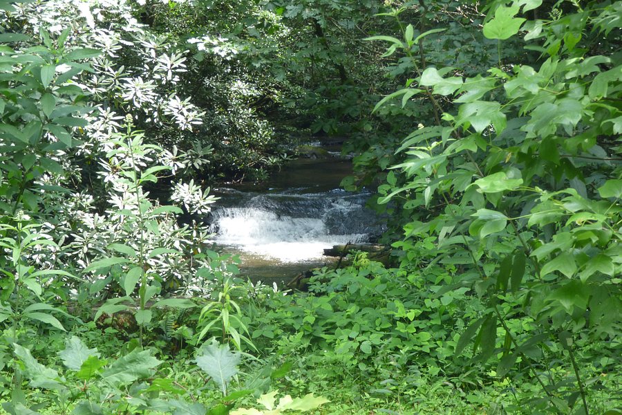 Little Rock Creek Falls image